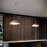 Minimalist Creative Minimalist LED  Aluminum Silica Gel Island Painted Finishes Modern