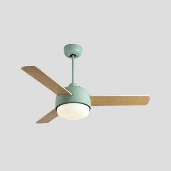 Ceiling Fan