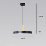 Macaroon Disk Pendant Light Ceiling Lamp Down light LED Halo