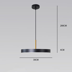 Macaroon Disk Pendant Light Ceiling Lamp Down light LED Halo