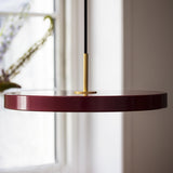 Macaroon Disk Pendant Light Ceiling Lamp Down light LED Halo