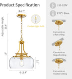 Modern Farmhouse Foyer Pendant - Cage Frame with Large Clear Seeded Glass Bowl and Edison Bulbs