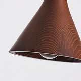 Modern Minimalist Wooden Pendant Light with Gold Accent