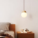 Beech Nut Pendant Lighting Lamp Round Log Lamp Glass Ball Lamp G9