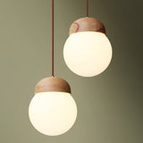 Beech Nut Pendant Lighting Lamp Round Log Lamp Glass Ball Lamp G9