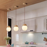 Beech Nut Pendant Lighting Lamp Round Log Lamp Glass Ball Lamp G9