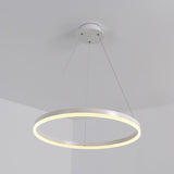 Circle 60 cm 36W Modern Acrylic Simplicity LED Pendant Lights LED Integrated