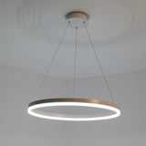Circle 60 cm 36W Modern Acrylic Simplicity LED Pendant Lights LED Integrated