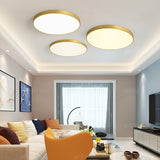 D30-D50cm Flush Mount Ring Lights Downlight Solid Brass PVC Acrylic Mini Style, LED Integrated - heparts