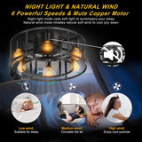 D50cm Caged Ceiling Fan with Lights, 6-Light Low Profile Fans Ceiling with Lights Remote Control