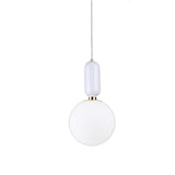 Glass Globe Mini Style Creative Adjustable Pendant Light Metal  Mini Modern  Nordic Style